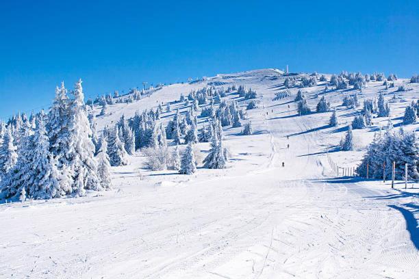 Vista Kopaonik Milmari Studio P22 Екстер'єр фото